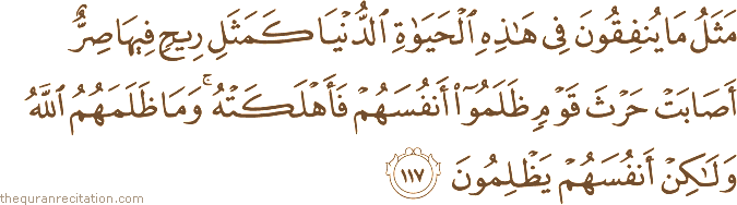 مَثَلُ مَا يُنْفِقُونَ فِي هَٰذِهِ الْحَيَاةِ الدُّنْيَا كَمَثَلِ رِيحٍ فِيهَا صِرٌّ أَصَابَتْ حَرْثَ قَوْمٍ ظَلَمُوا أَنْفُسَهُمْ فَأَهْلَكَتْهُ ۚ وَمَا ظَلَمَهُمُ اللَّهُ وَلَٰكِنْ أَنْفُسَهُمْ يَظْلِمُونَ