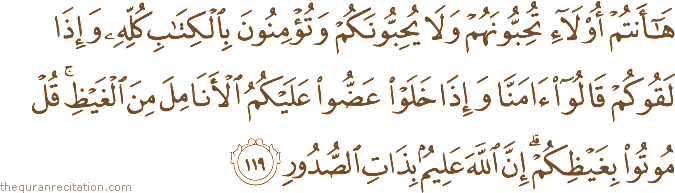 هَا أَنْتُمْ أُولَاءِ تُحِبُّونَهُمْ وَلَا يُحِبُّونَكُمْ وَتُؤْمِنُونَ بِالْكِتَابِ كُلِّهِ وَإِذَا لَقُوكُمْ قَالُوا آمَنَّا وَإِذَا خَلَوْا عَضُّوا عَلَيْكُمُ الْأَنَامِلَ مِنَ الْغَيْظِ ۚ قُلْ مُوتُوا بِغَيْظِكُمْ ۗ إِنَّ اللَّهَ عَلِيمٌ بِذَاتِ الصُّدُورِ