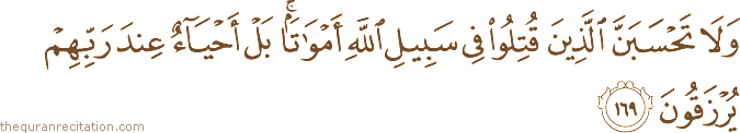 وَلَا تَحْسَبَنَّ الَّذِينَ قُتِلُوا فِي سَبِيلِ اللَّهِ أَمْوَاتًا ۚ بَلْ أَحْيَاءٌ عِنْدَ رَبِّهِمْ يُرْزَقُونَ