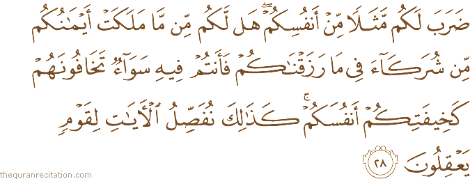 ضَرَبَ لَكُمْ مَثَلًا مِنْ أَنْفُسِكُمْ ۖ هَلْ لَكُمْ مِنْ مَا مَلَكَتْ أَيْمَانُكُمْ مِنْ شُرَكَاءَ فِي مَا رَزَقْنَاكُمْ فَأَنْتُمْ فِيهِ سَوَاءٌ تَخَافُونَهُمْ كَخِيفَتِكُمْ أَنْفُسَكُمْ ۚ كَذَٰلِكَ نُفَصِّلُ الْآيَاتِ لِقَوْمٍ يَعْقِلُونَ