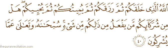 اللَّهُ الَّذِي خَلَقَكُمْ ثُمَّ رَزَقَكُمْ ثُمَّ يُمِيتُكُمْ ثُمَّ يُحْيِيكُمْ ۖ هَلْ مِنْ شُرَكَائِكُمْ مَنْ يَفْعَلُ مِنْ ذَٰلِكُمْ مِنْ شَيْءٍ ۚ سُبْحَانَهُ وَتَعَالَىٰ عَمَّا يُشْرِكُونَ