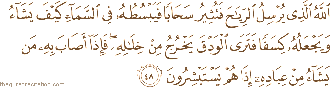 اللَّهُ الَّذِي يُرْسِلُ الرِّيَاحَ فَتُثِيرُ سَحَابًا فَيَبْسُطُهُ فِي السَّمَاءِ كَيْفَ يَشَاءُ وَيَجْعَلُهُ كِسَفًا فَتَرَى الْوَدْقَ يَخْرُجُ مِنْ خِلَالِهِ ۖ فَإِذَا أَصَابَ بِهِ مَنْ يَشَاءُ مِنْ عِبَادِهِ إِذَا هُمْ يَسْتَبْشِرُونَ