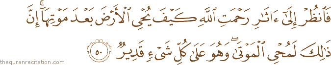 فَانْظُرْ إِلَىٰ آثَارِ رَحْمَتِ اللَّهِ كَيْفَ يُحْيِي الْأَرْضَ بَعْدَ مَوْتِهَا ۚ إِنَّ ذَٰلِكَ لَمُحْيِي الْمَوْتَىٰ ۖ وَهُوَ عَلَىٰ كُلِّ شَيْءٍ قَدِيرٌ
