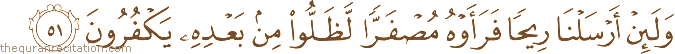 وَلَئِنْ أَرْسَلْنَا رِيحًا فَرَأَوْهُ مُصْفَرًّا لَظَلُّوا مِنْ بَعْدِهِ يَكْفُرُونَ