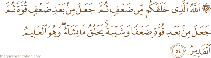 اللَّهُ الَّذِي خَلَقَكُمْ مِنْ ضَعْفٍ ثُمَّ جَعَلَ مِنْ بَعْدِ ضَعْفٍ قُوَّةً ثُمَّ جَعَلَ مِنْ بَعْدِ قُوَّةٍ ضَعْفًا وَشَيْبَةً ۚ يَخْلُقُ مَا يَشَاءُ ۖ وَهُوَ الْعَلِيمُ الْقَدِيرُ