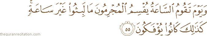 وَيَوْمَ تَقُومُ السَّاعَةُ يُقْسِمُ الْمُجْرِمُونَ مَا لَبِثُوا غَيْرَ سَاعَةٍ ۚ كَذَٰلِكَ كَانُوا يُؤْفَكُونَ