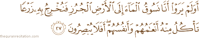 أَوَلَمْ يَرَوْا أَنَّا نَسُوقُ الْمَاءَ إِلَى الْأَرْضِ الْجُرُزِ فَنُخْرِجُ بِهِ زَرْعًا تَأْكُلُ مِنْهُ أَنْعَامُهُمْ وَأَنْفُسُهُمْ ۖ أَفَلَا يُبْصِرُونَ