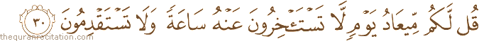 قُلْ لَكُمْ مِيعَادُ يَوْمٍ لَا تَسْتَأْخِرُونَ عَنْهُ سَاعَةً وَلَا تَسْتَقْدِمُونَ