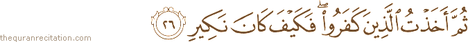 ثُمَّ أَخَذْتُ الَّذِينَ كَفَرُوا ۖ فَكَيْفَ كَانَ نَكِيرِ