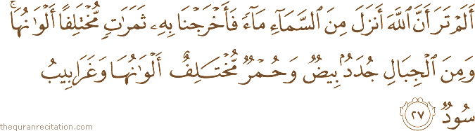 أَلَمْ تَرَ أَنَّ اللَّهَ أَنْزَلَ مِنَ السَّمَاءِ مَاءً فَأَخْرَجْنَا بِهِ ثَمَرَاتٍ مُخْتَلِفًا أَلْوَانُهَا ۚ وَمِنَ الْجِبَالِ جُدَدٌ بِيضٌ وَحُمْرٌ مُخْتَلِفٌ أَلْوَانُهَا وَغَرَابِيبُ سُودٌ