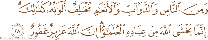 وَمِنَ النَّاسِ وَالدَّوَابِّ وَالْأَنْعَامِ مُخْتَلِفٌ أَلْوَانُهُ كَذَٰلِكَ ۗ إِنَّمَا يَخْشَى اللَّهَ مِنْ عِبَادِهِ الْعُلَمَاءُ ۗ إِنَّ اللَّهَ عَزِيزٌ غَفُورٌ