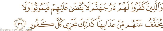 وَالَّذِينَ كَفَرُوا لَهُمْ نَارُ جَهَنَّمَ لَا يُقْضَىٰ عَلَيْهِمْ فَيَمُوتُوا وَلَا يُخَفَّفُ عَنْهُمْ مِنْ عَذَابِهَا ۚ كَذَٰلِكَ نَجْزِي كُلَّ كَفُورٍ