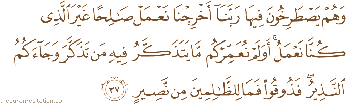 وَهُمْ يَصْطَرِخُونَ فِيهَا رَبَّنَا أَخْرِجْنَا نَعْمَلْ صَالِحًا غَيْرَ الَّذِي كُنَّا نَعْمَلُ ۚ أَوَلَمْ نُعَمِّرْكُمْ مَا يَتَذَكَّرُ فِيهِ مَنْ تَذَكَّرَ وَجَاءَكُمُ النَّذِيرُ ۖ فَذُوقُوا فَمَا لِلظَّالِمِينَ مِنْ نَصِيرٍ