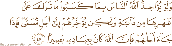 وَلَوْ يُؤَاخِذُ اللَّهُ النَّاسَ بِمَا كَسَبُوا مَا تَرَكَ عَلَىٰ ظَهْرِهَا مِنْ دَابَّةٍ وَلَٰكِنْ يُؤَخِّرُهُمْ إِلَىٰ أَجَلٍ مُسَمًّى ۖ فَإِذَا جَاءَ أَجَلُهُمْ فَإِنَّ اللَّهَ كَانَ بِعِبَادِهِ بَصِيرًا