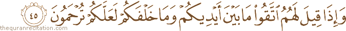 وَإِذَا قِيلَ لَهُمُ اتَّقُوا مَا بَيْنَ أَيْدِيكُمْ وَمَا خَلْفَكُمْ لَعَلَّكُمْ تُرْحَمُونَ