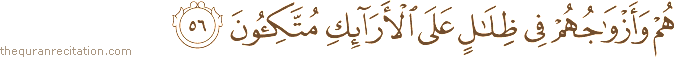 هُمْ وَأَزْوَاجُهُمْ فِي ظِلَالٍ عَلَى الْأَرَائِكِ مُتَّكِئُونَ