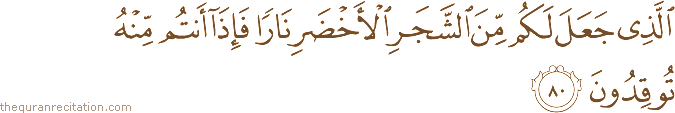 الَّذِي جَعَلَ لَكُمْ مِنَ الشَّجَرِ الْأَخْضَرِ نَارًا فَإِذَا أَنْتُمْ مِنْهُ تُوقِدُونَ
