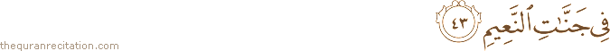 فِي جَنَّاتِ النَّعِيمِ