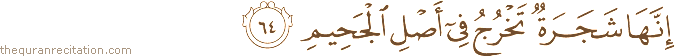 إِنَّهَا شَجَرَةٌ تَخْرُجُ فِي أَصْلِ الْجَحِيمِ