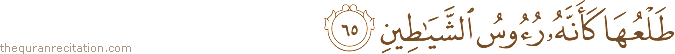 طَلْعُهَا كَأَنَّهُ رُءُوسُ الشَّيَاطِينِ