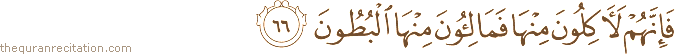 فَإِنَّهُمْ لَآكِلُونَ مِنْهَا فَمَالِئُونَ مِنْهَا الْبُطُونَ