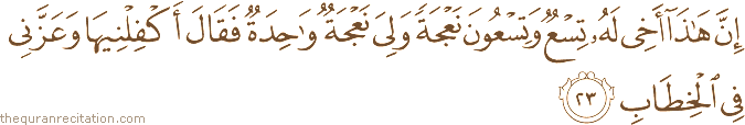 إِنَّ هَٰذَا أَخِي لَهُ تِسْعٌ وَتِسْعُونَ نَعْجَةً وَلِيَ نَعْجَةٌ وَاحِدَةٌ فَقَالَ أَكْفِلْنِيهَا وَعَزَّنِي فِي الْخِطَابِ