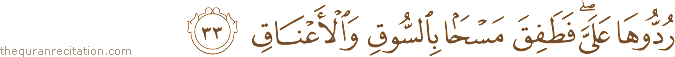 رُدُّوهَا عَلَيَّ ۖ فَطَفِقَ مَسْحًا بِالسُّوقِ وَالْأَعْنَاقِ