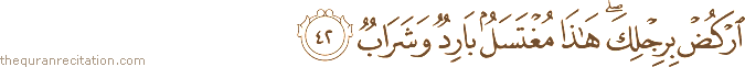 ارْكُضْ بِرِجْلِكَ ۖ هَٰذَا مُغْتَسَلٌ بَارِدٌ وَشَرَابٌ