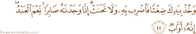 وَخُذْ بِيَدِكَ ضِغْثًا فَاضْرِبْ بِهِ وَلَا تَحْنَثْ ۗ إِنَّا وَجَدْنَاهُ صَابِرًا ۚ نِعْمَ الْعَبْدُ ۖ إِنَّهُ أَوَّابٌ