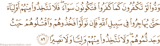 وَدُّوا لَوْ تَكْفُرُونَ كَمَا كَفَرُوا فَتَكُونُونَ سَوَاءً ۖ فَلَا تَتَّخِذُوا مِنْهُمْ أَوْلِيَاءَ حَتَّىٰ يُهَاجِرُوا فِي سَبِيلِ اللَّهِ ۚ فَإِنْ تَوَلَّوْا فَخُذُوهُمْ وَاقْتُلُوهُمْ حَيْثُ وَجَدْتُمُوهُمْ ۖ وَلَا تَتَّخِذُوا مِنْهُمْ وَلِيًّا وَلَا نَصِيرًا