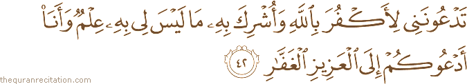 تَدْعُونَنِي لِأَكْفُرَ بِاللَّهِ وَأُشْرِكَ بِهِ مَا لَيْسَ لِي بِهِ عِلْمٌ وَأَنَا أَدْعُوكُمْ إِلَى الْعَزِيزِ الْغَفَّارِ