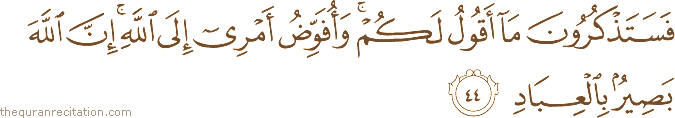 فَسَتَذْكُرُونَ مَا أَقُولُ لَكُمْ ۚ وَأُفَوِّضُ أَمْرِي إِلَى اللَّهِ ۚ إِنَّ اللَّهَ بَصِيرٌ بِالْعِبَادِ