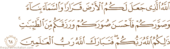 اللَّهُ الَّذِي جَعَلَ لَكُمُ الْأَرْضَ قَرَارًا وَالسَّمَاءَ بِنَاءً وَصَوَّرَكُمْ فَأَحْسَنَ صُوَرَكُمْ وَرَزَقَكُمْ مِنَ الطَّيِّبَاتِ ۚ ذَٰلِكُمُ اللَّهُ رَبُّكُمْ ۖ فَتَبَارَكَ اللَّهُ رَبُّ الْعَالَمِينَ
