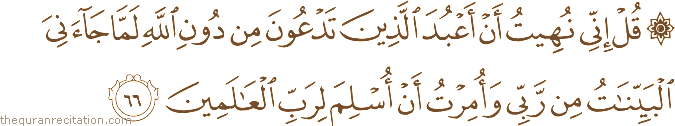 قُلْ إِنِّي نُهِيتُ أَنْ أَعْبُدَ الَّذِينَ تَدْعُونَ مِنْ دُونِ اللَّهِ لَمَّا جَاءَنِيَ الْبَيِّنَاتُ مِنْ رَبِّي وَأُمِرْتُ أَنْ أُسْلِمَ لِرَبِّ الْعَالَمِينَ