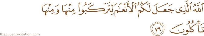 اللَّهُ الَّذِي جَعَلَ لَكُمُ الْأَنْعَامَ لِتَرْكَبُوا مِنْهَا وَمِنْهَا تَأْكُلُونَ