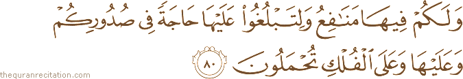 وَلَكُمْ فِيهَا مَنَافِعُ وَلِتَبْلُغُوا عَلَيْهَا حَاجَةً فِي صُدُورِكُمْ وَعَلَيْهَا وَعَلَى الْفُلْكِ تُحْمَلُونَ