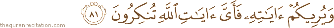 وَيُرِيكُمْ آيَاتِهِ فَأَيَّ آيَاتِ اللَّهِ تُنْكِرُونَ