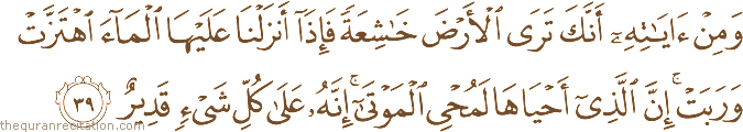 وَمِنْ آيَاتِهِ أَنَّكَ تَرَى الْأَرْضَ خَاشِعَةً فَإِذَا أَنْزَلْنَا عَلَيْهَا الْمَاءَ اهْتَزَّتْ وَرَبَتْ ۚ إِنَّ الَّذِي أَحْيَاهَا لَمُحْيِي الْمَوْتَىٰ ۚ إِنَّهُ عَلَىٰ كُلِّ شَيْءٍ قَدِيرٌ