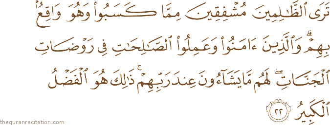 تَرَى الظَّالِمِينَ مُشْفِقِينَ مِمَّا كَسَبُوا وَهُوَ وَاقِعٌ بِهِمْ ۗ وَالَّذِينَ آمَنُوا وَعَمِلُوا الصَّالِحَاتِ فِي رَوْضَاتِ الْجَنَّاتِ ۖ لَهُمْ مَا يَشَاءُونَ عِنْدَ رَبِّهِمْ ۚ ذَٰلِكَ هُوَ الْفَضْلُ الْكَبِيرُ