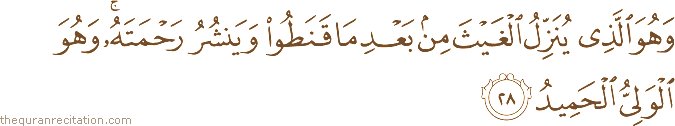 وَهُوَ الَّذِي يُنَزِّلُ الْغَيْثَ مِنْ بَعْدِ مَا قَنَطُوا وَيَنْشُرُ رَحْمَتَهُ ۚ وَهُوَ الْوَلِيُّ الْحَمِيدُ