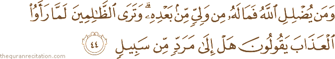 وَمَنْ يُضْلِلِ اللَّهُ فَمَا لَهُ مِنْ وَلِيٍّ مِنْ بَعْدِهِ ۗ وَتَرَى الظَّالِمِينَ لَمَّا رَأَوُا الْعَذَابَ يَقُولُونَ هَلْ إِلَىٰ مَرَدٍّ مِنْ سَبِيلٍ