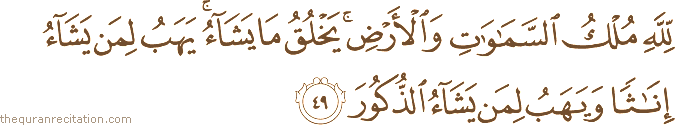 لِلَّهِ مُلْكُ السَّمَاوَاتِ وَالْأَرْضِ ۚ يَخْلُقُ مَا يَشَاءُ ۚ يَهَبُ لِمَنْ يَشَاءُ إِنَاثًا وَيَهَبُ لِمَنْ يَشَاءُ الذُّكُورَ