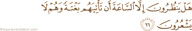 هَلْ يَنْظُرُونَ إِلَّا السَّاعَةَ أَنْ تَأْتِيَهُمْ بَغْتَةً وَهُمْ لَا يَشْعُرُونَ