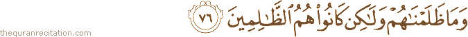 وَمَا ظَلَمْنَاهُمْ وَلَٰكِنْ كَانُوا هُمُ الظَّالِمِينَ