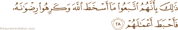 ذَٰلِكَ بِأَنَّهُمُ اتَّبَعُوا مَا أَسْخَطَ اللَّهَ وَكَرِهُوا رِضْوَانَهُ فَأَحْبَطَ أَعْمَالَهُمْ
