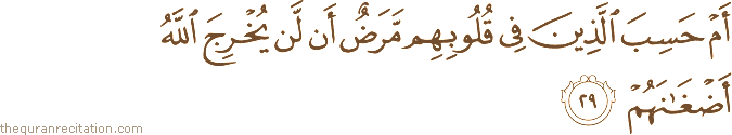 أَمْ حَسِبَ الَّذِينَ فِي قُلُوبِهِمْ مَرَضٌ أَنْ لَنْ يُخْرِجَ اللَّهُ أَضْغَانَهُمْ
