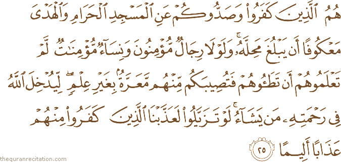 هُمُ الَّذِينَ كَفَرُوا وَصَدُّوكُمْ عَنِ الْمَسْجِدِ الْحَرَامِ وَالْهَدْيَ مَعْكُوفًا أَنْ يَبْلُغَ مَحِلَّهُ ۚ وَلَوْلَا رِجَالٌ مُؤْمِنُونَ وَنِسَاءٌ مُؤْمِنَاتٌ لَمْ تَعْلَمُوهُمْ أَنْ تَطَئُوهُمْ فَتُصِيبَكُمْ مِنْهُمْ مَعَرَّةٌ بِغَيْرِ عِلْمٍ ۖ لِيُدْخِلَ اللَّهُ فِي رَحْمَتِهِ مَنْ يَشَاءُ ۚ لَوْ تَزَيَّلُوا لَعَذَّبْنَا الَّذِينَ كَفَرُوا مِنْهُمْ عَذَابًا أَلِيمًا