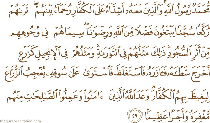 مُحَمَّدٌ رَسُولُ اللَّهِ ۚ وَالَّذِينَ مَعَهُ أَشِدَّاءُ عَلَى الْكُفَّارِ رُحَمَاءُ بَيْنَهُمْ ۖ تَرَاهُمْ رُكَّعًا سُجَّدًا يَبْتَغُونَ فَضْلًا مِنَ اللَّهِ وَرِضْوَانًا ۖ سِيمَاهُمْ فِي وُجُوهِهِمْ مِنْ أَثَرِ السُّجُودِ ۚ ذَٰلِكَ مَثَلُهُمْ فِي التَّوْرَاةِ ۚ وَمَثَلُهُمْ فِي الْإِنْجِيلِ كَزَرْعٍ أَخْرَجَ شَطْأَهُ فَآزَرَهُ فَاسْتَغْلَظَ فَاسْتَوَىٰ عَلَىٰ سُوقِهِ يُعْجِبُ الزُّرَّاعَ لِيَغِيظَ بِهِمُ الْكُفَّارَ ۗ وَعَدَ اللَّهُ الَّذِينَ آمَنُوا وَعَمِلُوا الصَّالِحَاتِ مِنْهُمْ مَغْفِرَةً وَأَجْرًا عَظِيمًا