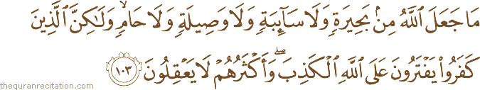 مَا جَعَلَ اللَّهُ مِنْ بَحِيرَةٍ وَلَا سَائِبَةٍ وَلَا وَصِيلَةٍ وَلَا حَامٍ ۙ وَلَٰكِنَّ الَّذِينَ كَفَرُوا يَفْتَرُونَ عَلَى اللَّهِ الْكَذِبَ ۖ وَأَكْثَرُهُمْ لَا يَعْقِلُونَ