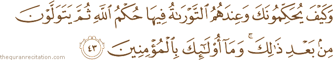 وَكَيْفَ يُحَكِّمُونَكَ وَعِنْدَهُمُ التَّوْرَاةُ فِيهَا حُكْمُ اللَّهِ ثُمَّ يَتَوَلَّوْنَ مِنْ بَعْدِ ذَٰلِكَ ۚ وَمَا أُولَٰئِكَ بِالْمُؤْمِنِينَ